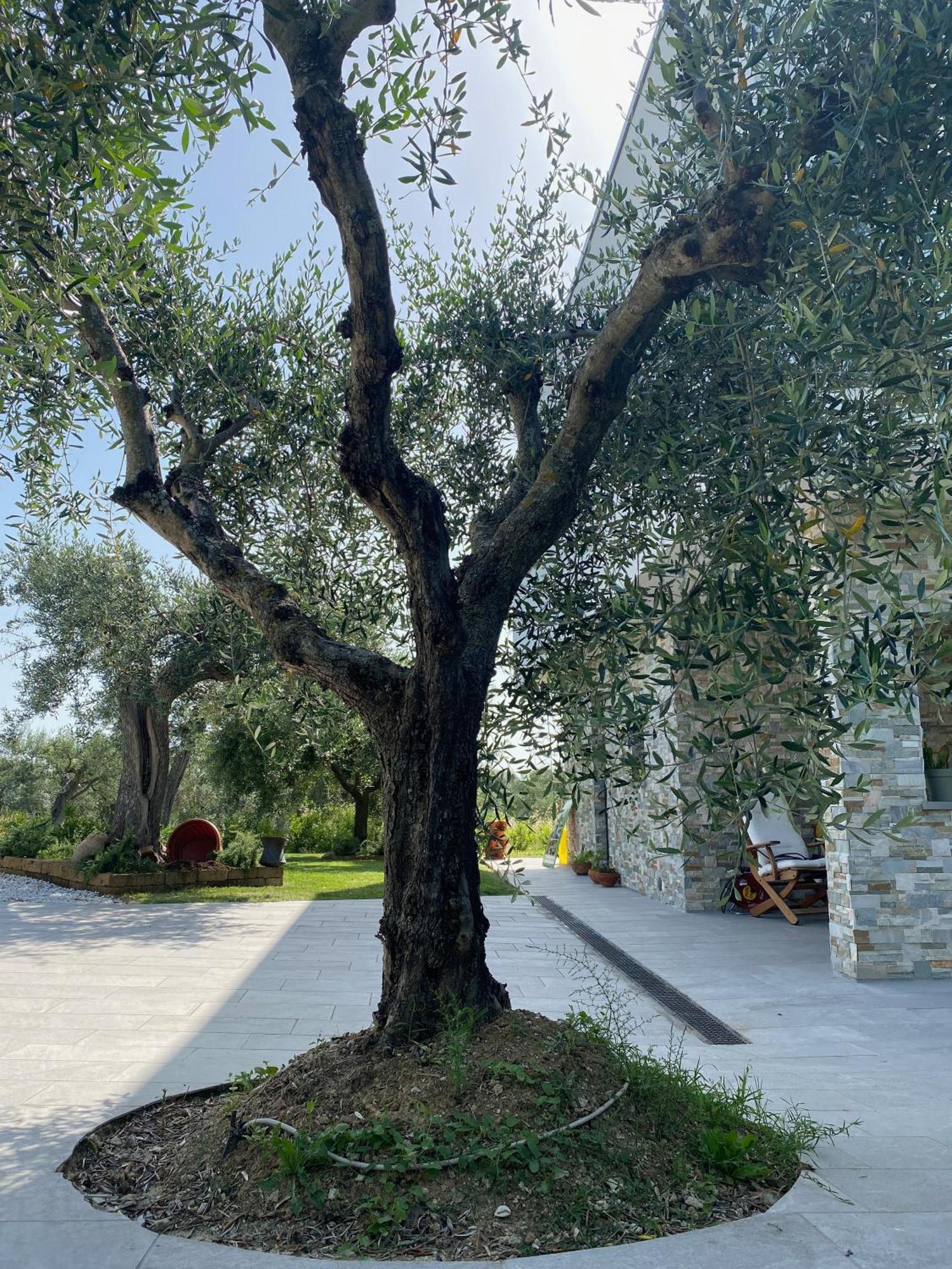 B&B La Villetta Bellante Exterior photo